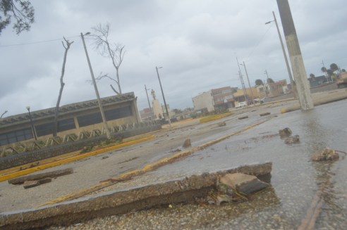 WhatsApp Image 2019-11-01 at 12.55.14 PM (4)