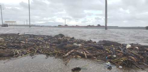 WhatsApp Image 2019-11-01 at 9.27.26 AM