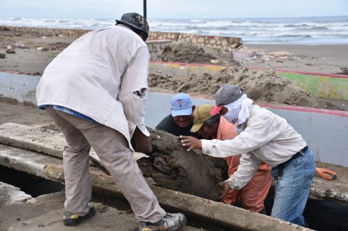 WhatsApp Image 2019-11-04 at 7.45.22 PM (2)