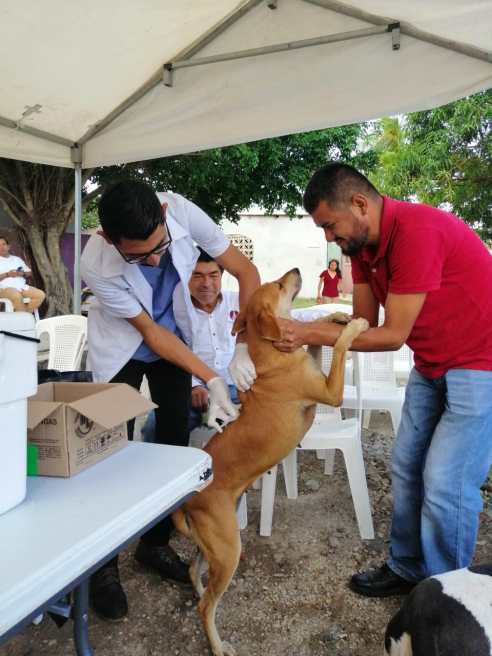 WhatsApp Image 2019-11-09 at 9.38.34 AM