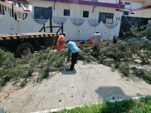 WhatsApp Image 2019-11-12 at 2.44.18 PM (2)