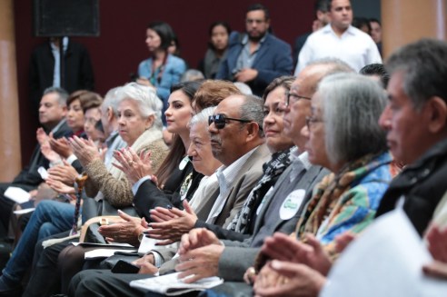 WhatsApp Image 2019-11-13 at 2.18.40 PM