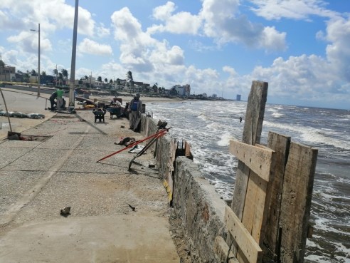 WhatsApp Image 2019-11-14 at 8.06.37 PM (1)