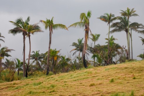 WhatsApp Image 2019-11-18 at 7.21.13 PM (3)